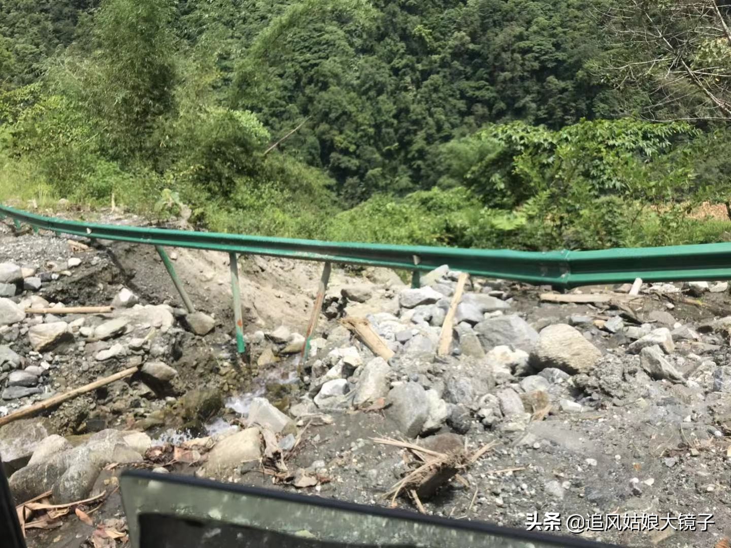 穿越到原始森林里面,穿越原始森林来种田