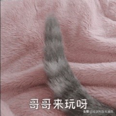 中药点斑好还是激光祛斑好,脸上有斑打激光过后吃有讲究吗