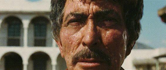 王家卫姚晨,姚晨王家卫