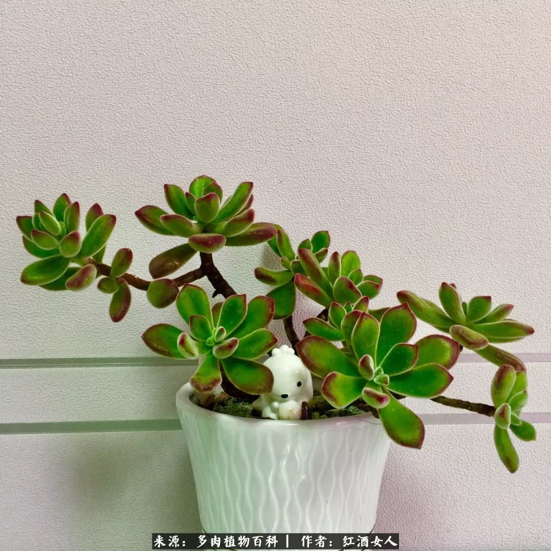 记录走过的美景留下美好的回忆,记录走过的每一段美好时光