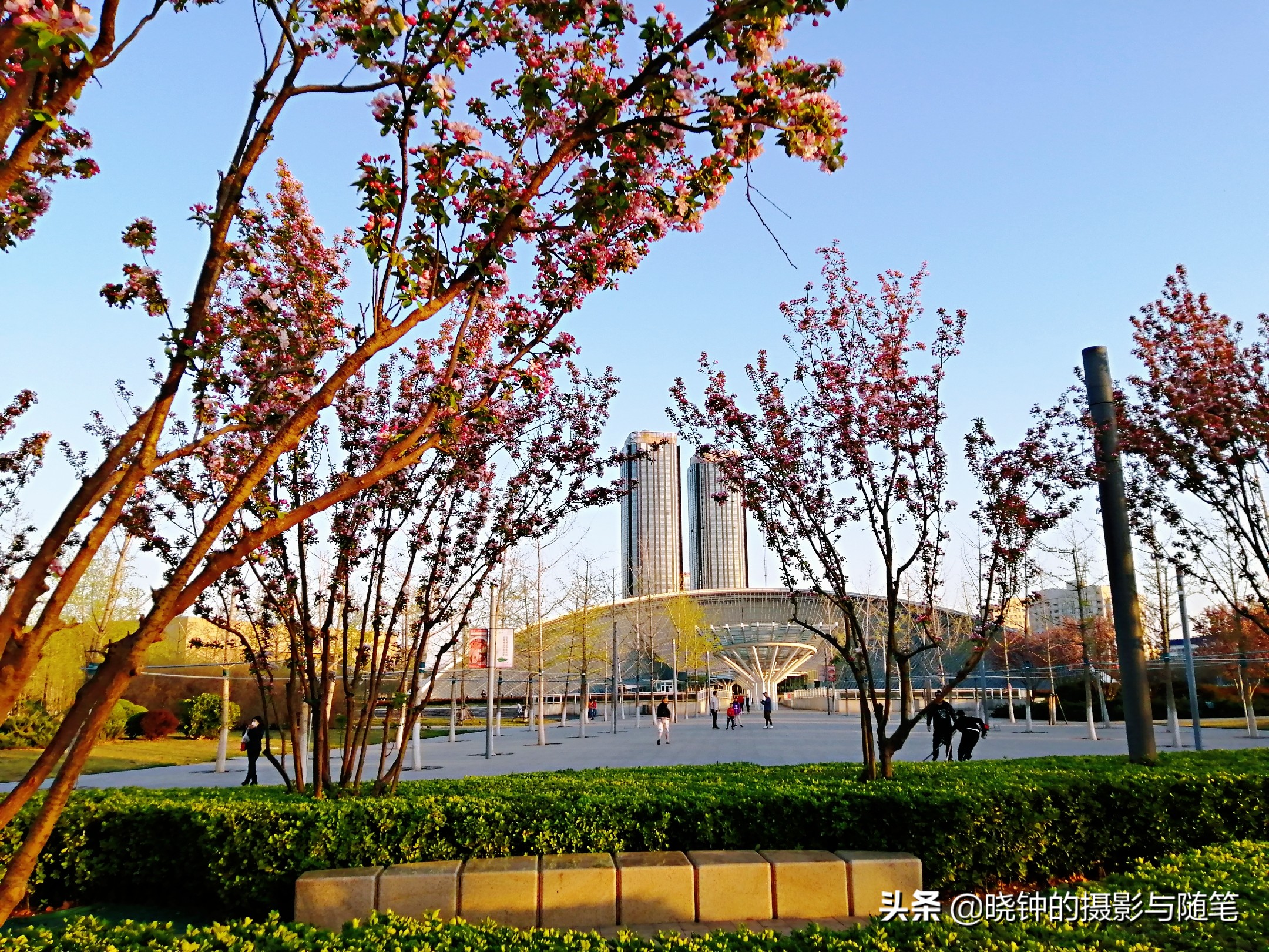 姹紫嫣红的天津文化中心，让人感受到这座城市的文化氛围与格调