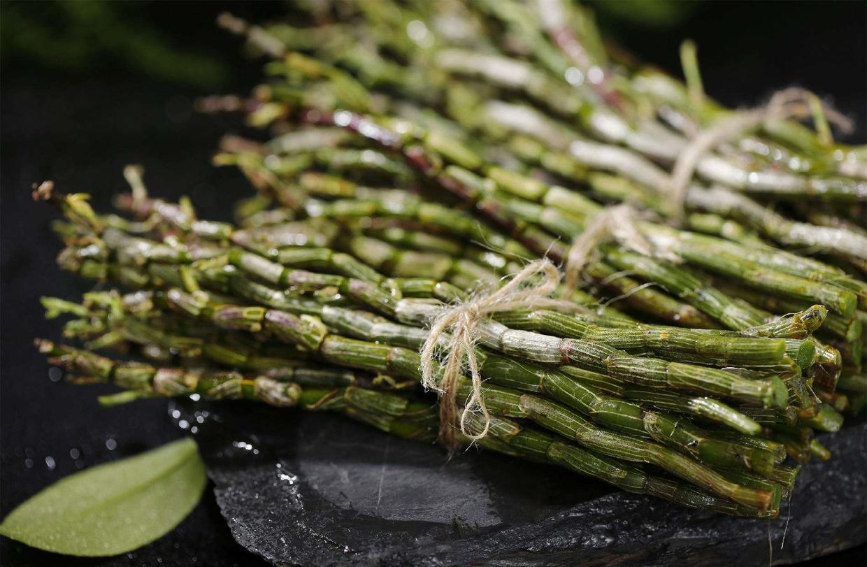 长在石头上的石斛,可以种石头上的石斛有哪些品种