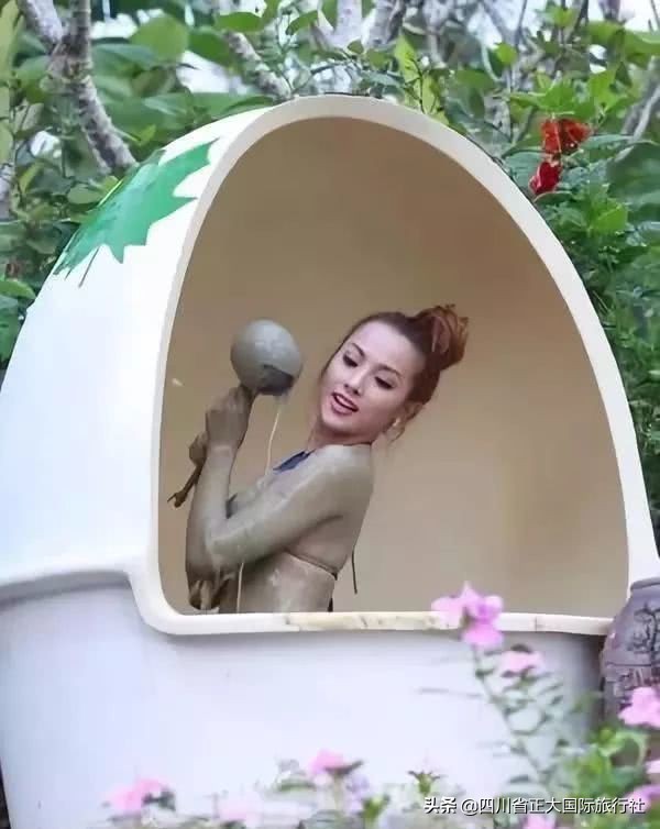 世界行为迷惑大赏,世界迷惑行为大赏解说