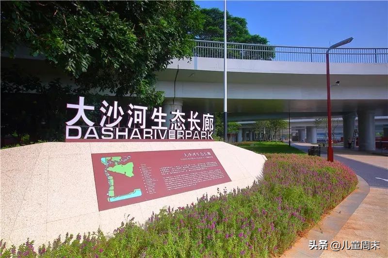 深圳带娃免费旅游推荐,深圳带娃出游景点攻略推荐