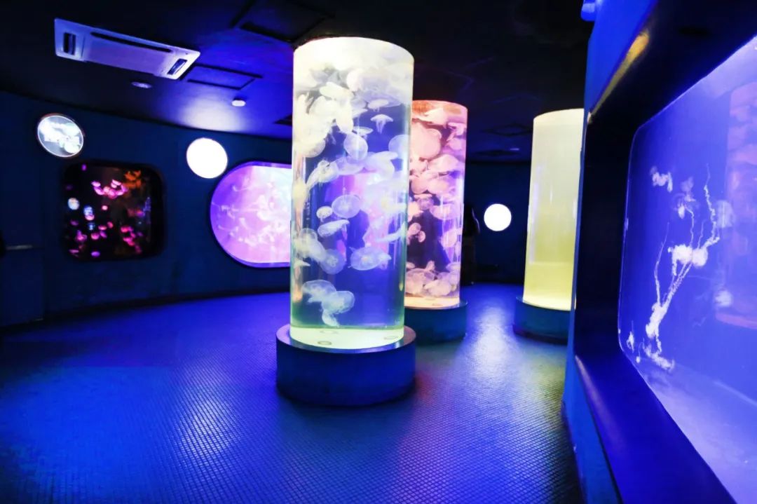 青岛新增11家免门票景区价格,青岛免门票景区详细名单公布