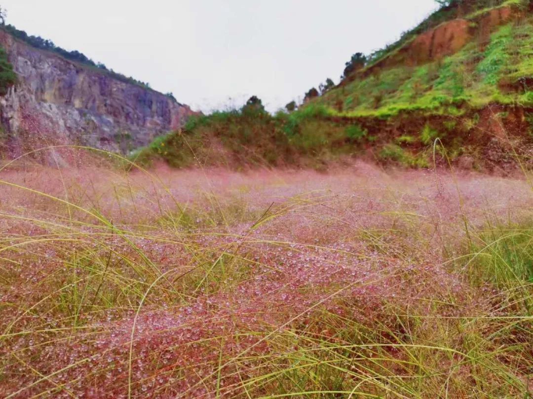 贵州绿博园驾车旅游攻略,贵州绿博园怎么玩