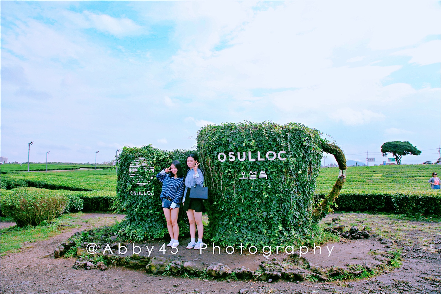 韩国一杯咖啡钱飞济州岛，疫情尚未结束，不如先云游济州岛