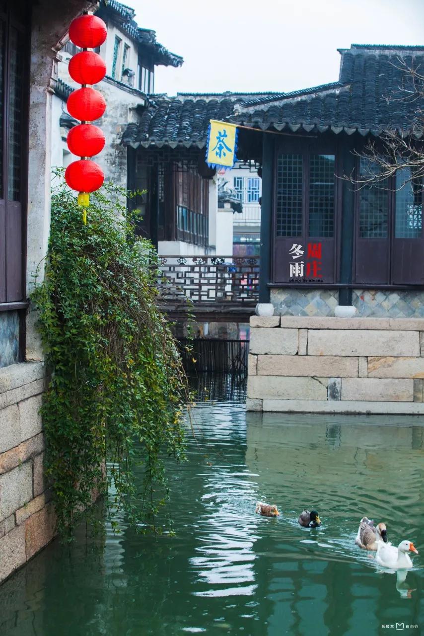 周庄之旅,清明游周庄