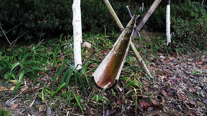 宜兴竹海山顶华南第一峰,宜兴华东第一竹海