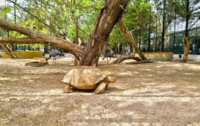 迪拜最新的旅游景点,迪拜必玩的十大景点