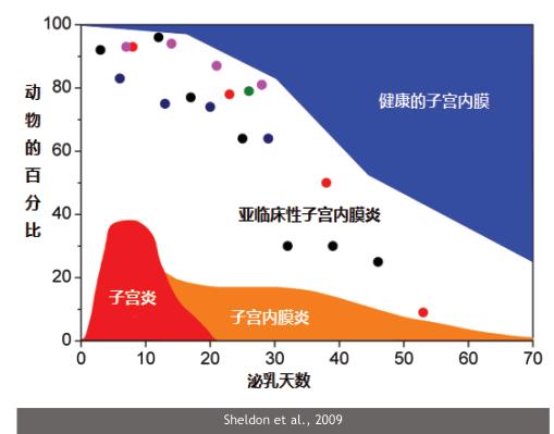 韩铁柱：新产牛疾病防治