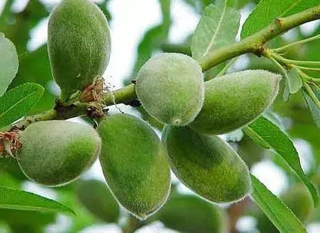 冬天这样护肤，睡觉都是“滑”进去的