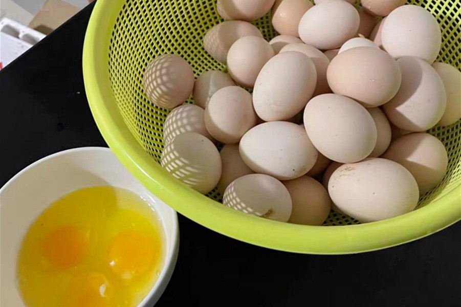 春天买土鸡蛋,鸡蛋买绿壳的还是粉壳的好些