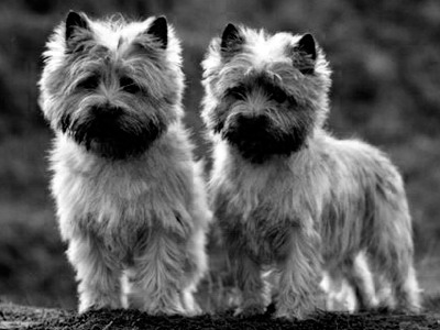 如何用photoshop抠图新手入门教程,photoshop快速抠图几种方法