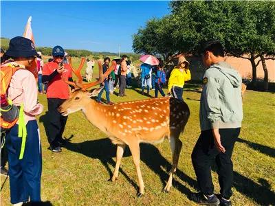 草原深度游坝上,草原秋季7日游