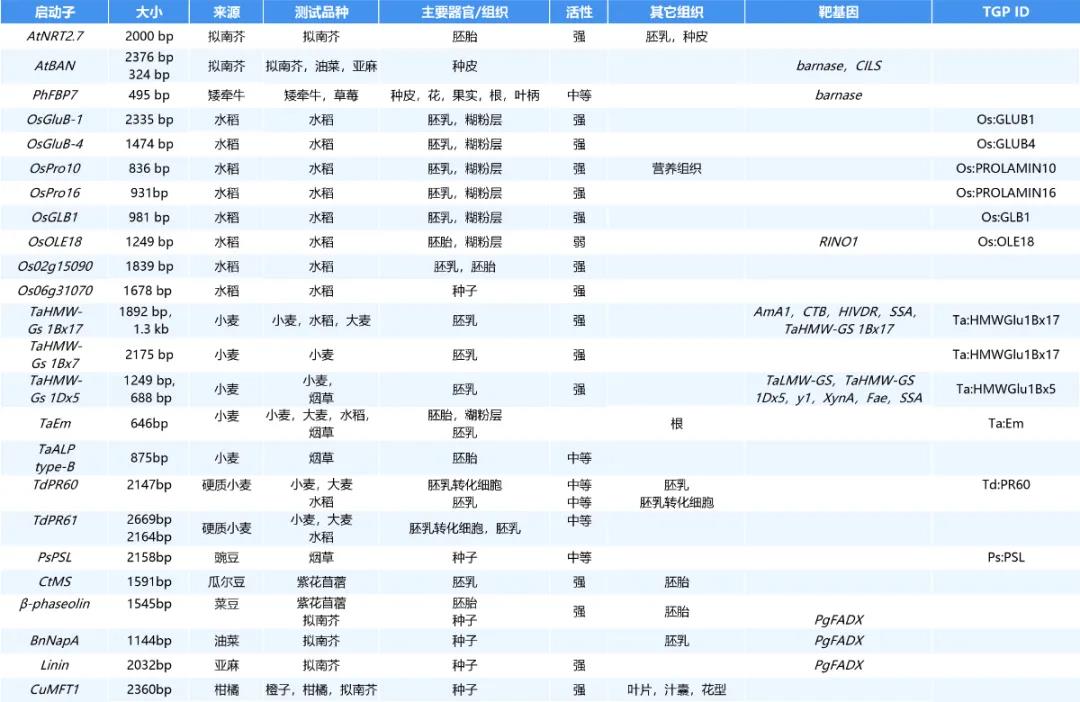 进来抄作业，启动子要这么选