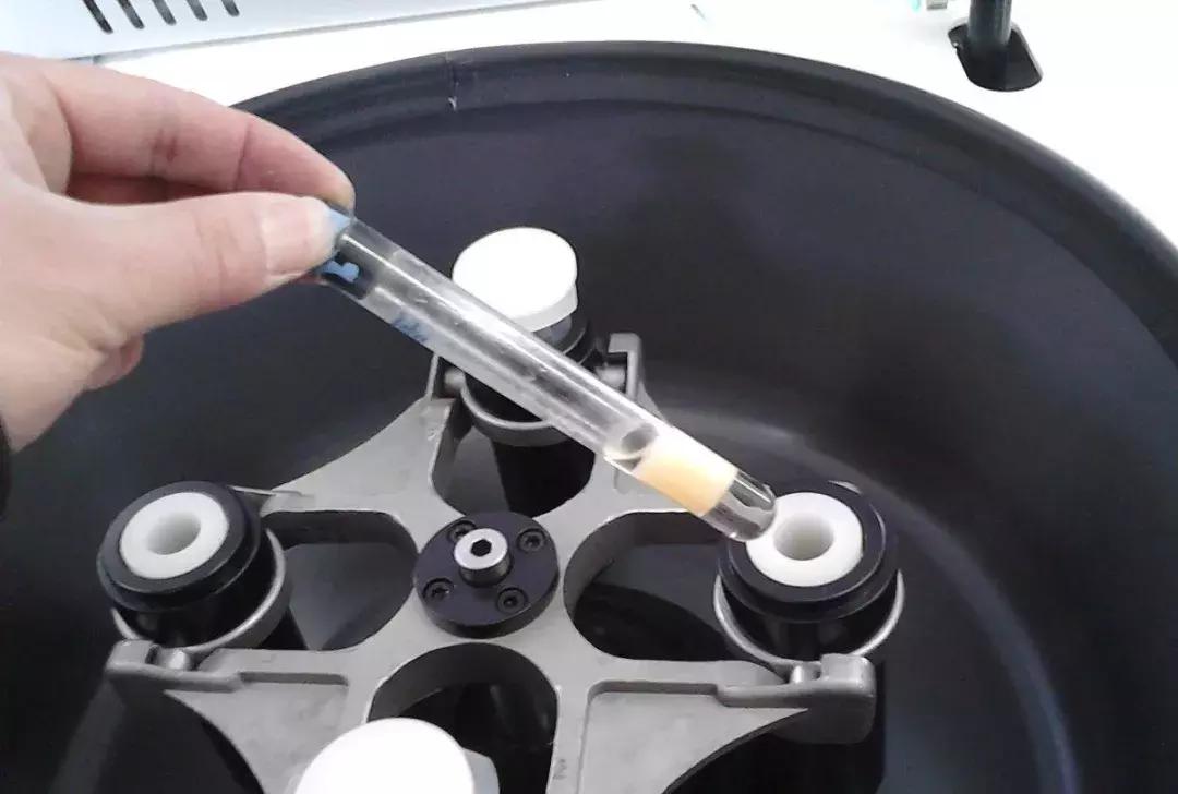 景甜倪妮同台2019年,景甜倪妮同台2019