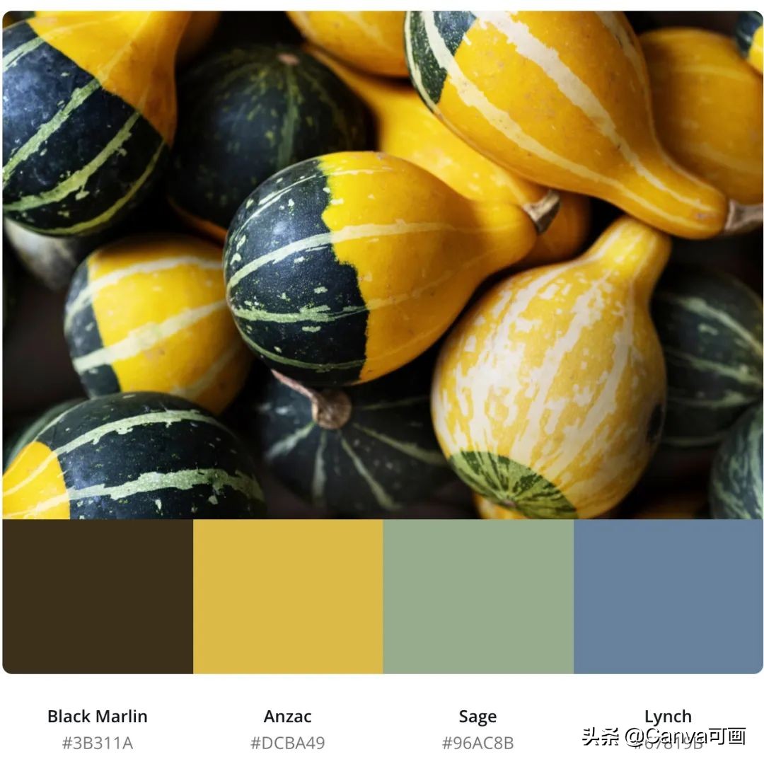 秋天配色插画秋高气爽,秋季高清插画