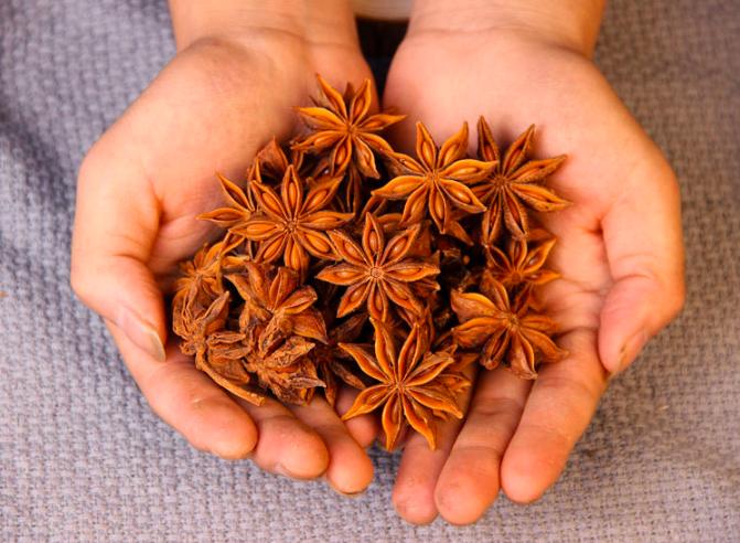 莽草和八角的区别,莽草和八角区别