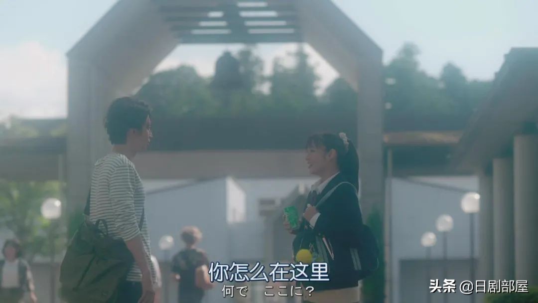 一觉醒来发现妻子换人了,反婚反育日剧推荐