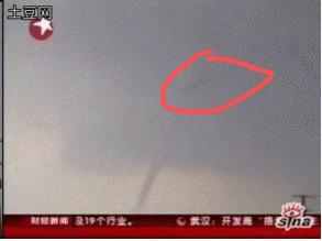 龙真的存在吗真实版,龙真的存在吗诡异事件