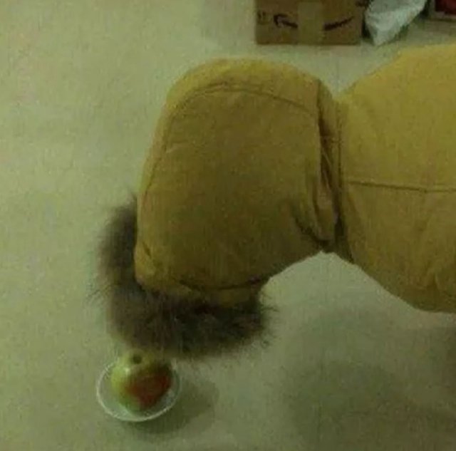 爆笑买家秀与卖家秀,爆笑买家秀搞笑视频