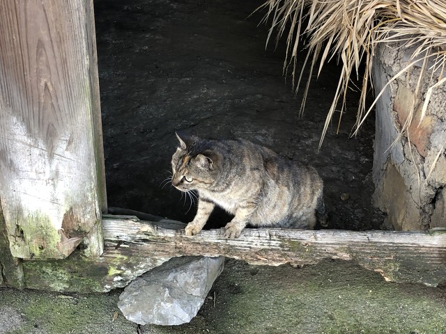 四喜临门的喜事,喜事临门的六个预兆