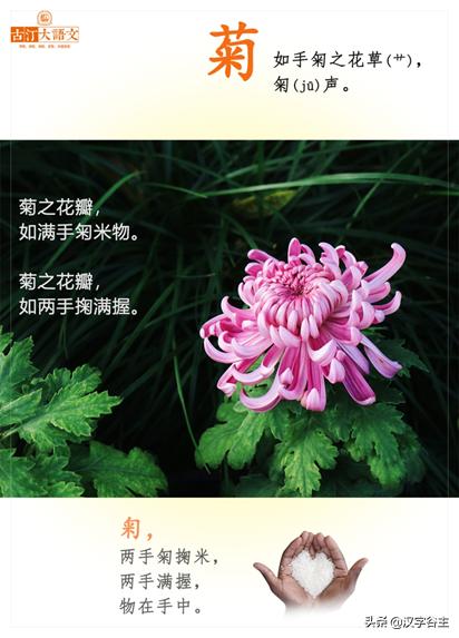 读“菊”，读出其自然本性与人文意象