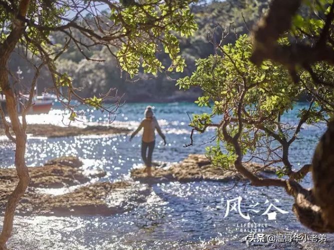 十几年的夫妻感悟,十年的老华人含泪感悟