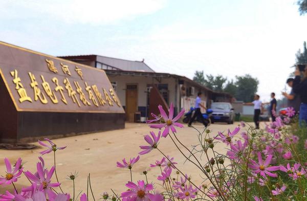 濮阳市农民工返乡创业之星,河南省返乡创业之星