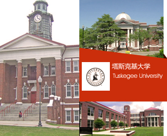 塔斯克基飞行员电影完整,塔斯克基飞行员电影解说