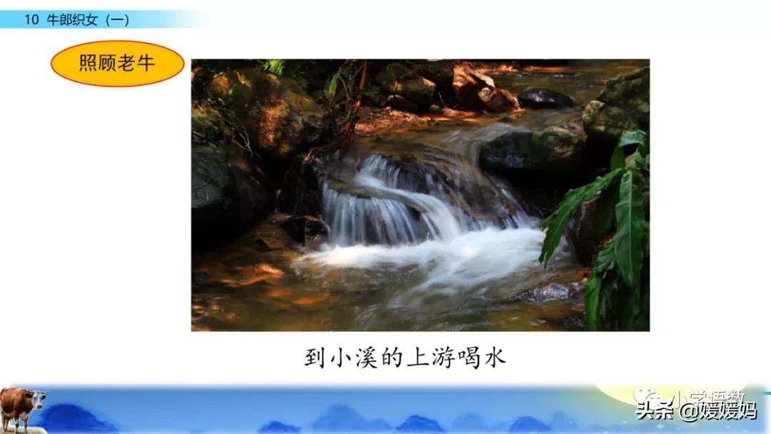 部编版五年级语文上册牛郎织女题,五上语文牛郎织女第10课ppt