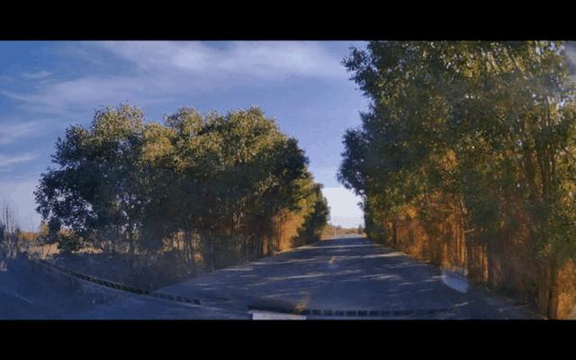 额济纳胡杨林中国最美秋色,中国最美秋色额济纳胡杨林