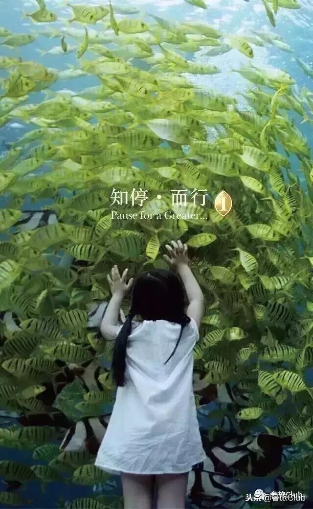 干货一文搞懂zabbix基础知识,ihg洲际酒店线上学习指南