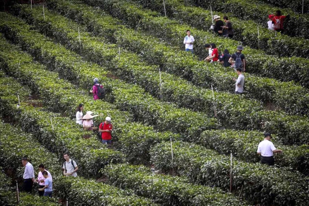 中山风景打卡点,广州秋游野餐好去处