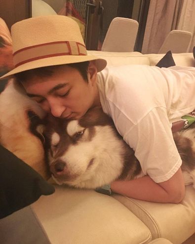 高档宠物碗,名媛宠物临潼店