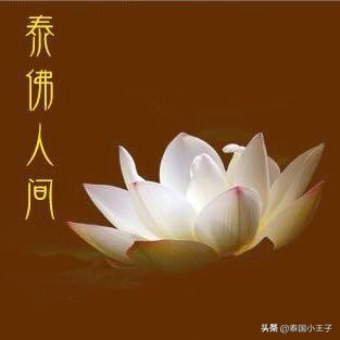 求了佛牌之后有什么禁忌,佛牌类型功效和禁忌