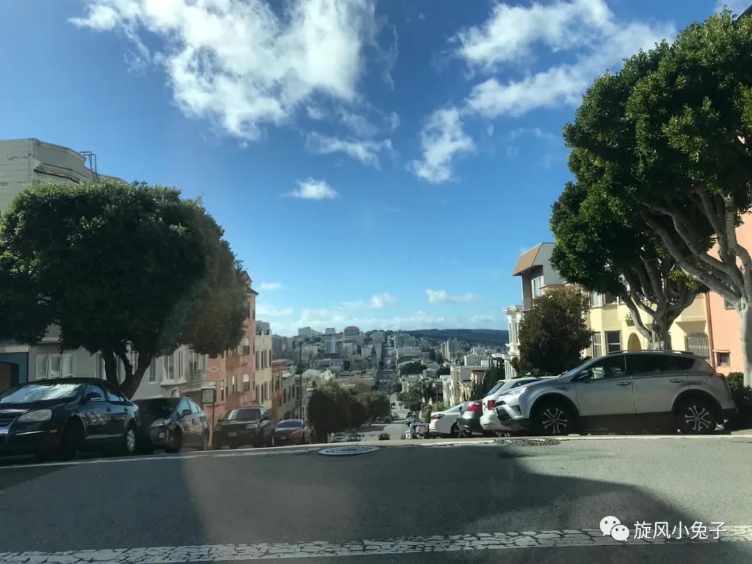 加州沿海1号公路自驾游散装系列（一）：阳光北加的金山依旧