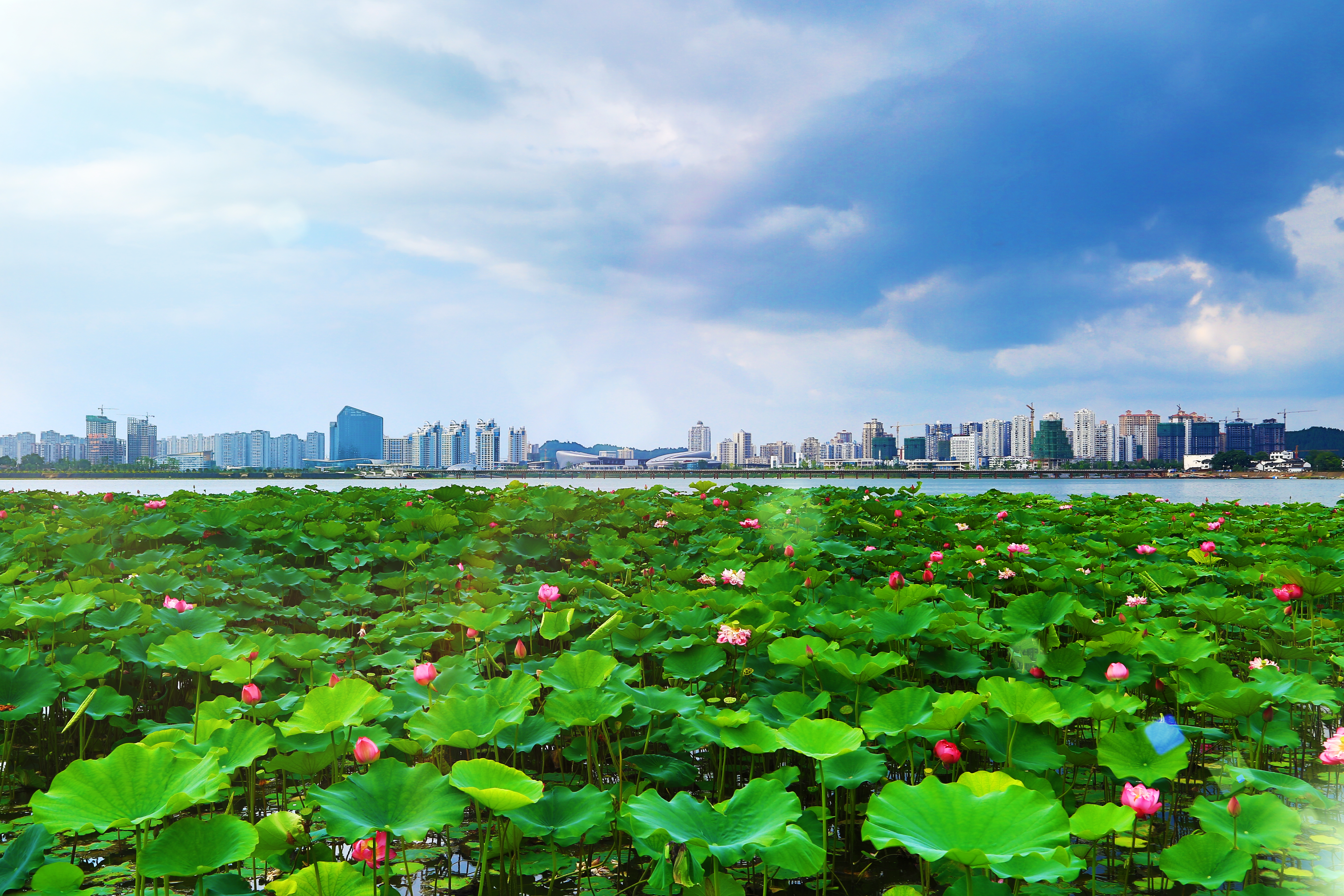 遂宁算不算四川第二大城市,四川南充一座被低估了的魅力之城
