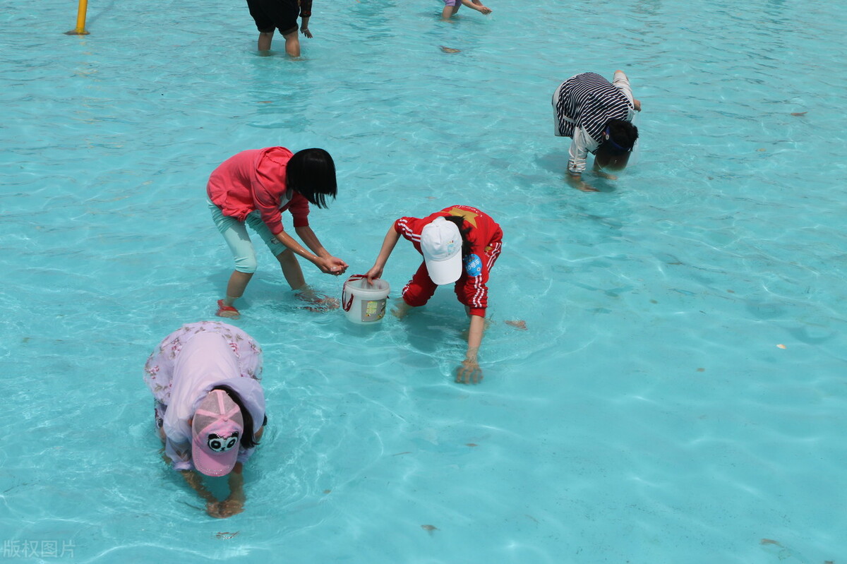 手机网络游戏目前处于什么阶段,手机网络游戏的发展