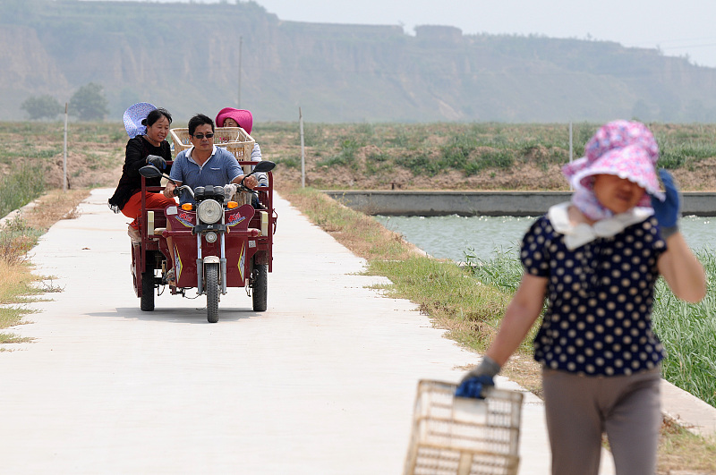 三轮车跟二轮车哪个实用性高,三轮车和四轮车比有什么优势