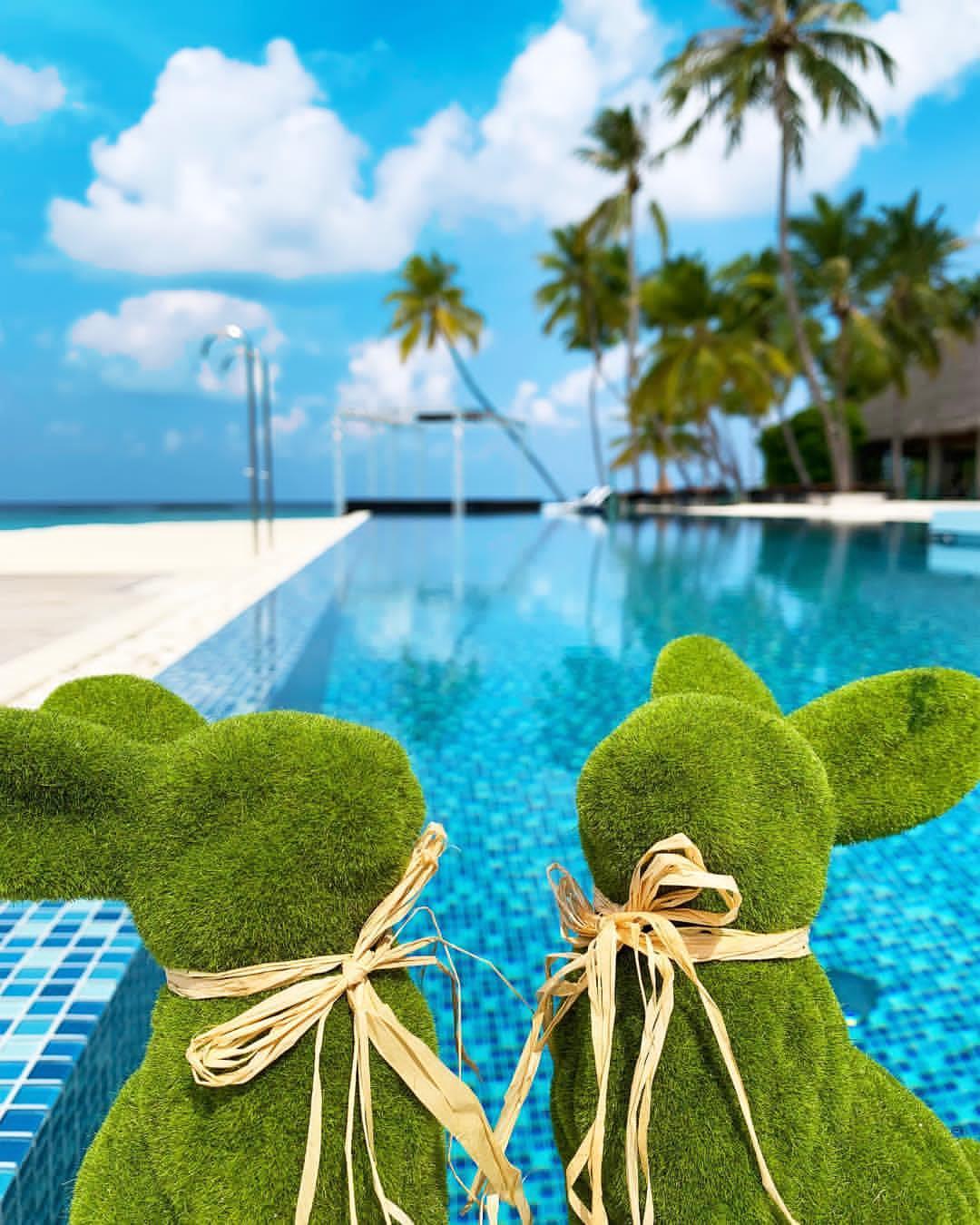 马尔代夫维拉岛,马尔代夫维拉私人岛完整版