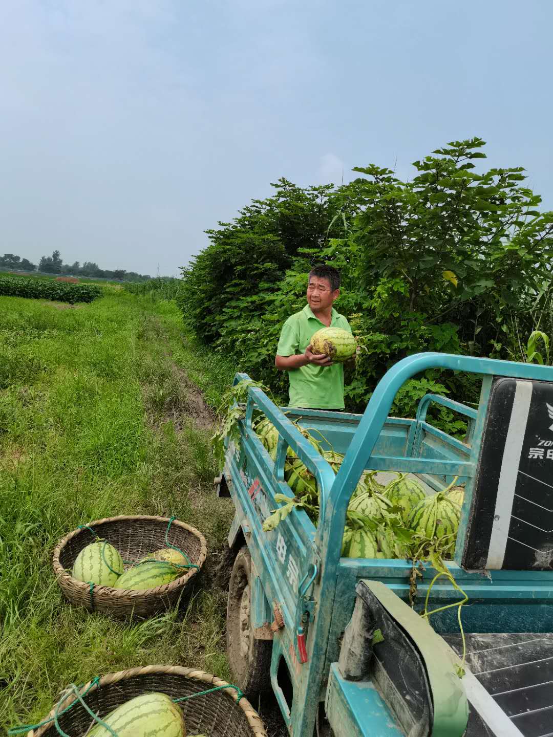 村民送抗洪救援队员西瓜,农户西瓜滞销3万余斤