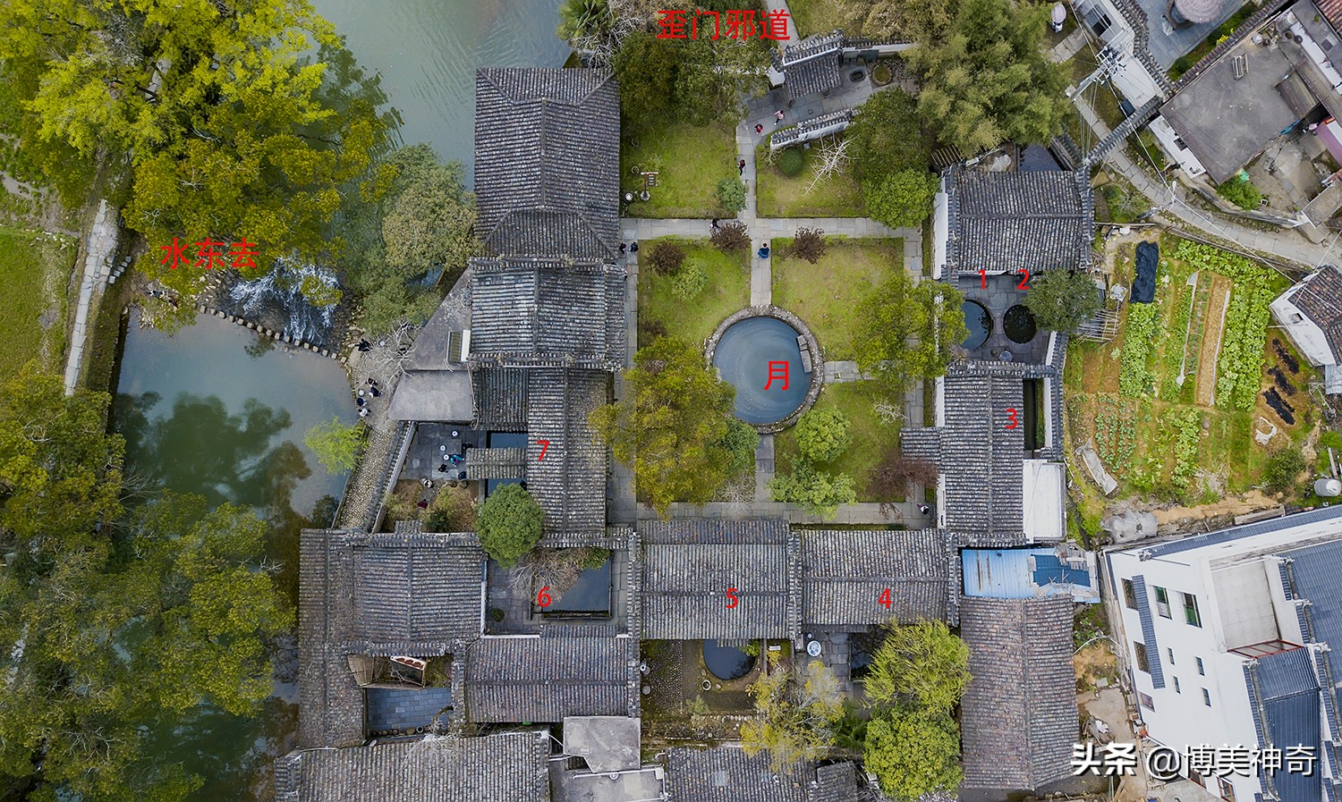 都知严田有棵救皇帝的樟王，却不明那七星伴月是何意，一图见真相