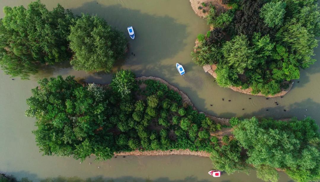 枣庄文旅一卡通外地人购买,枣庄文旅一票通