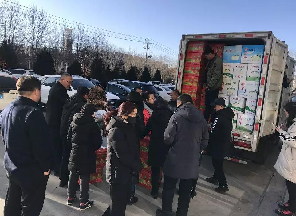 40万斤梨滞销果农急盼援手,河北赵县60万斤滞销梨急寻销路