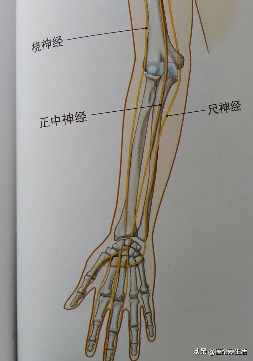 治疗神经损伤的膏药,治疗神经损伤的药