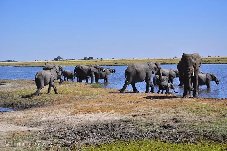 汇率起起伏伏，自然旅行跟着这张表格走，最划算