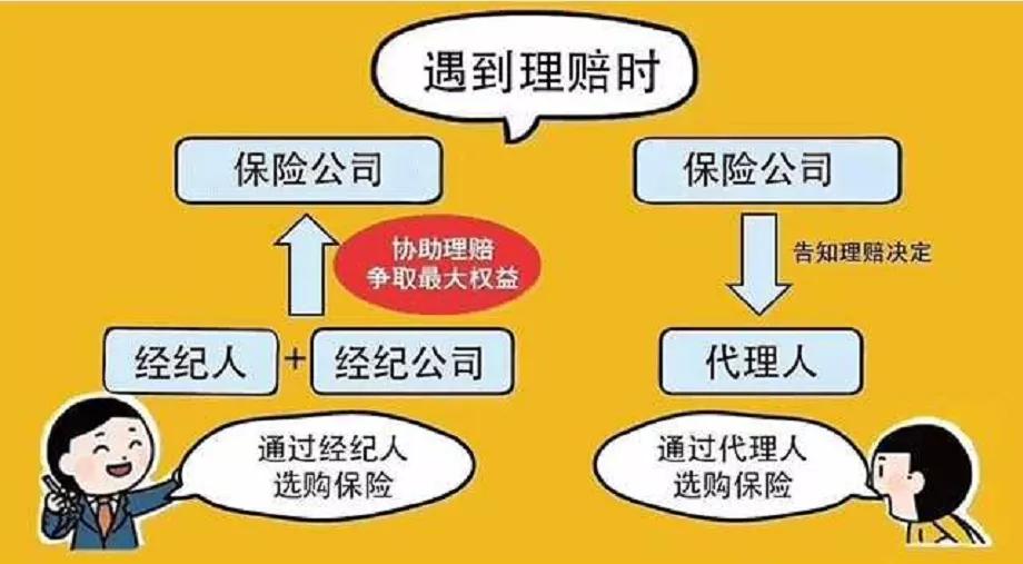 买保险如实告知的五大坑,揭秘保险人都买了什么保险
