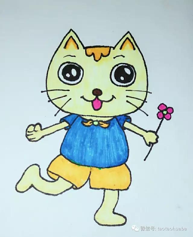 我是可爱小猫咪视频,我是一只可爱的小猫咪